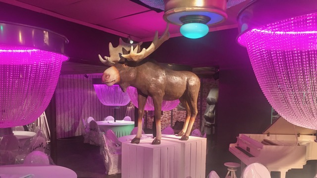 verhuur Moose Bar Moose op sokkels te huu