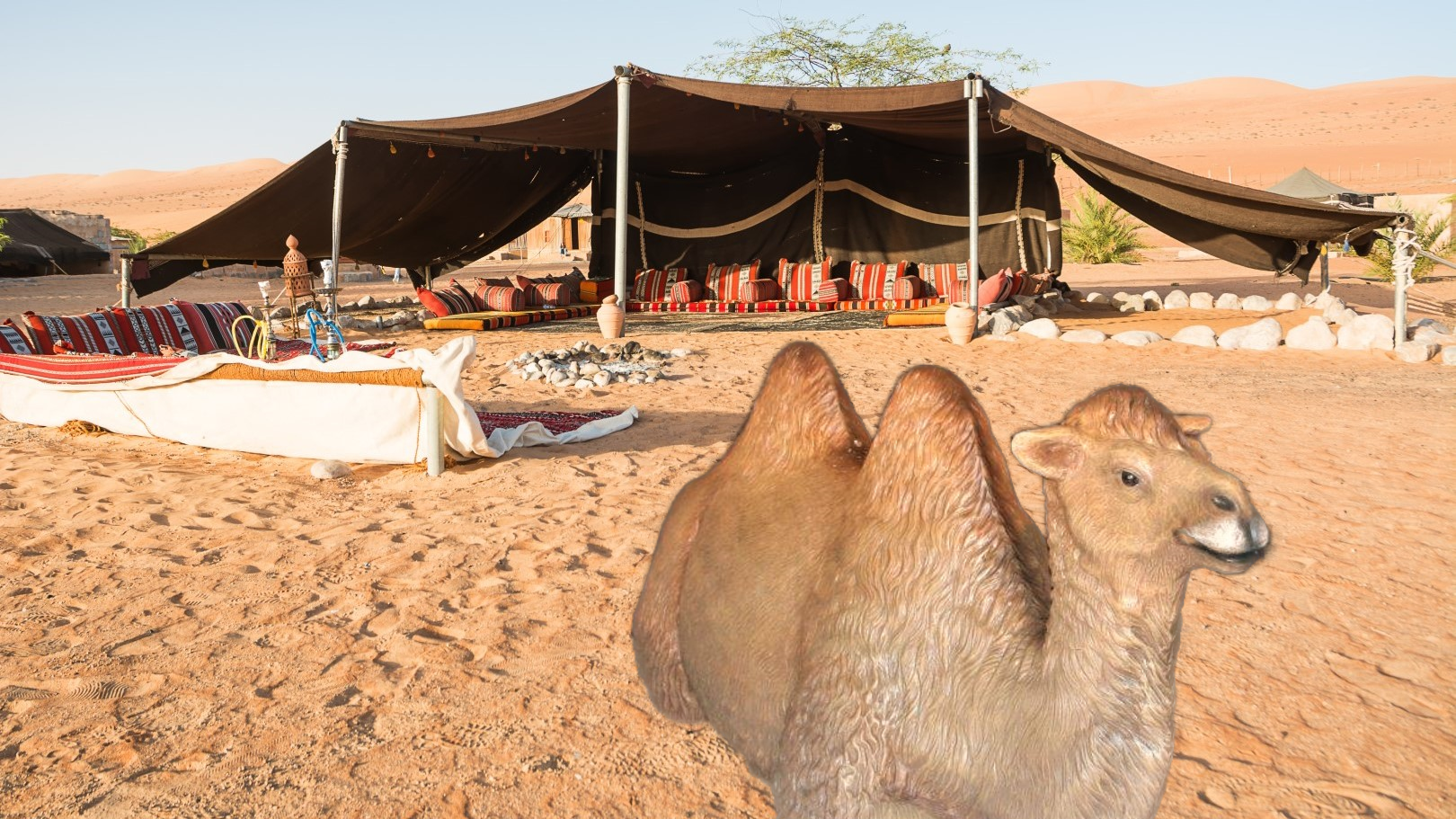 verhuur decor setting kameel voor bedouinen tent woestijn huren