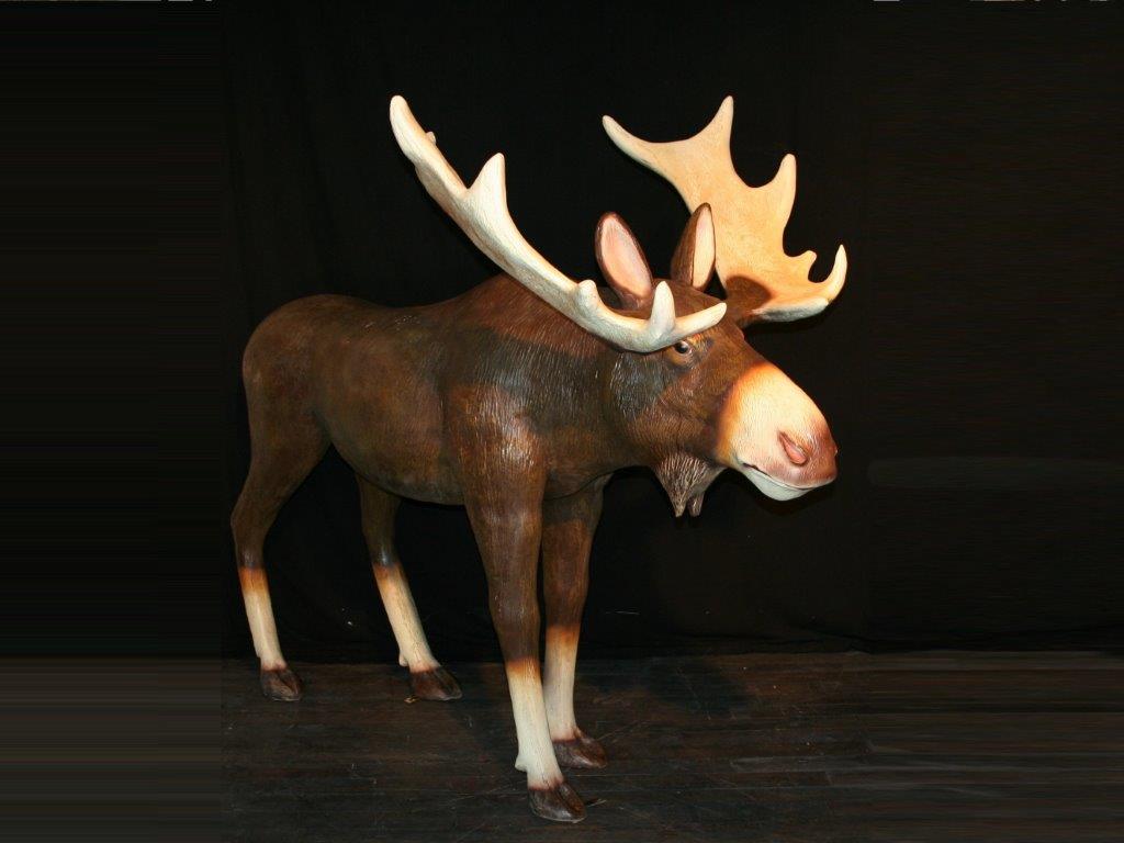 verhuur eland moose huren