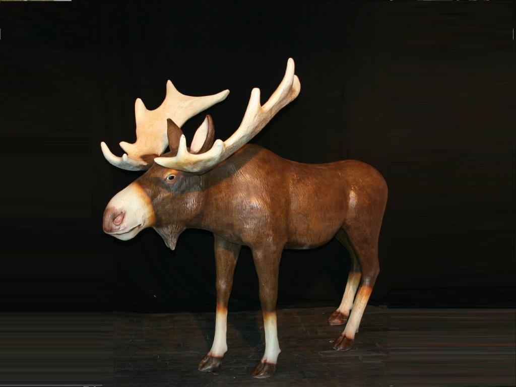 verhuur eland moose huren