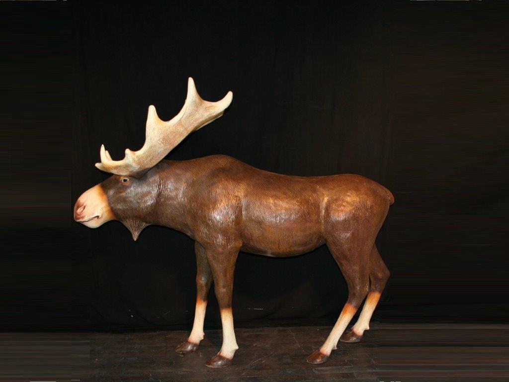 verhuur eland moose huren