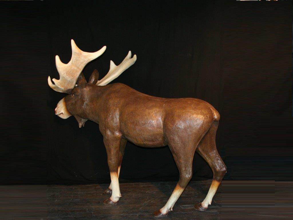 verhuur eland moose huren