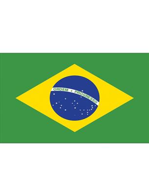 verhuur vlag Brazilie huren
