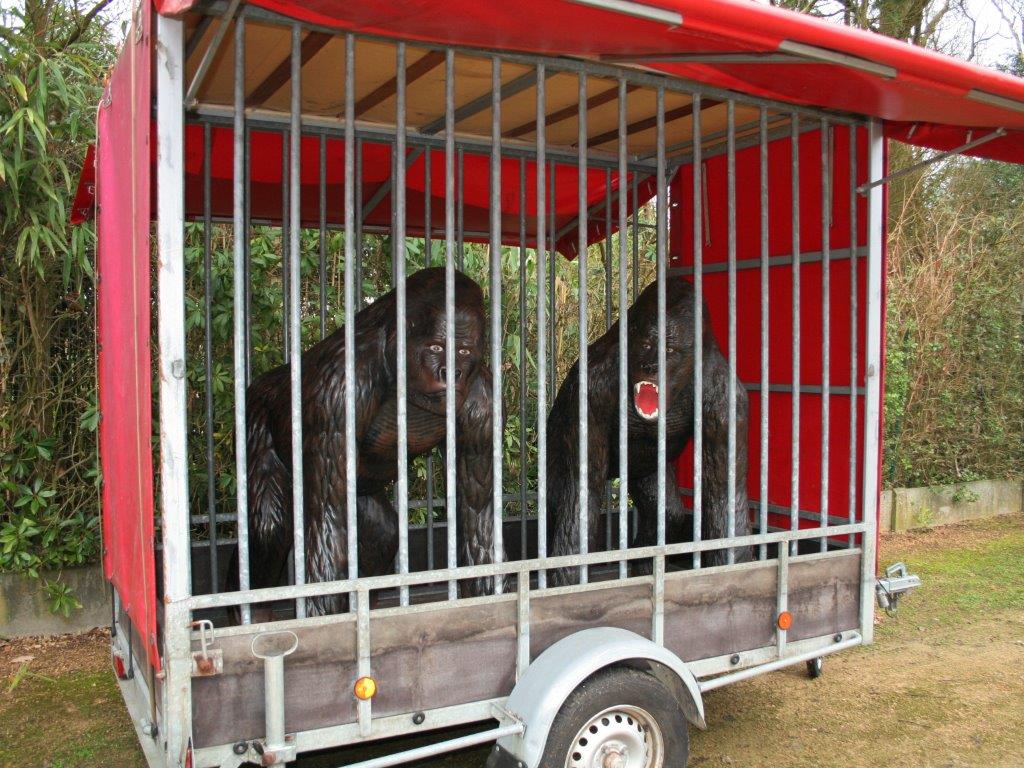 verhuur circusapen gorilla's in circuskooi huren