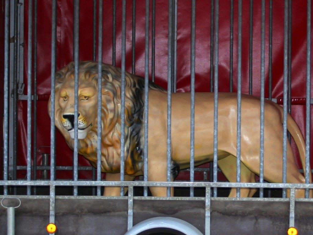 verhuur levensgrote circus leeuw in circuskooi huren