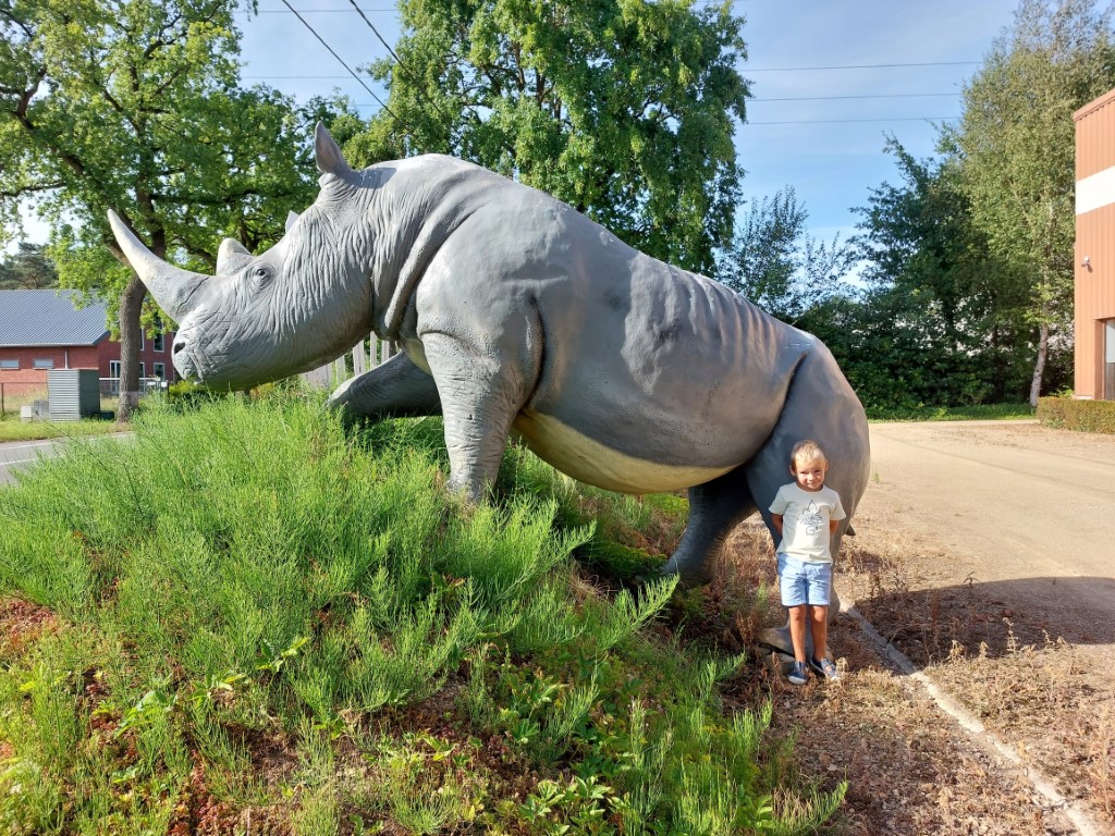 verhuur neushoorn huren