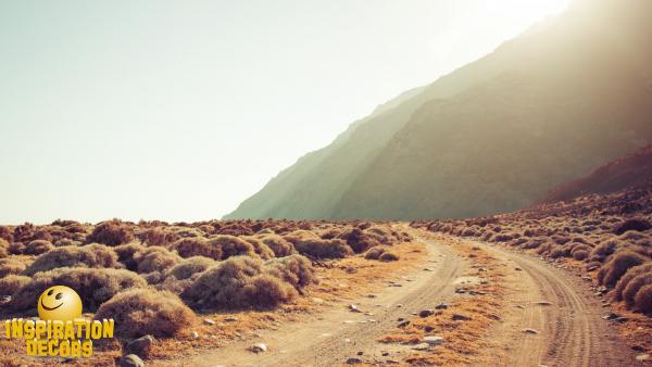 verhuur achtergronden backdrop wegen te huur