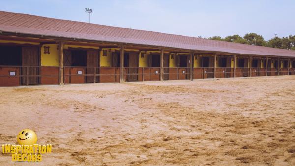 verhuur decors rekwisieten paardensport te huur