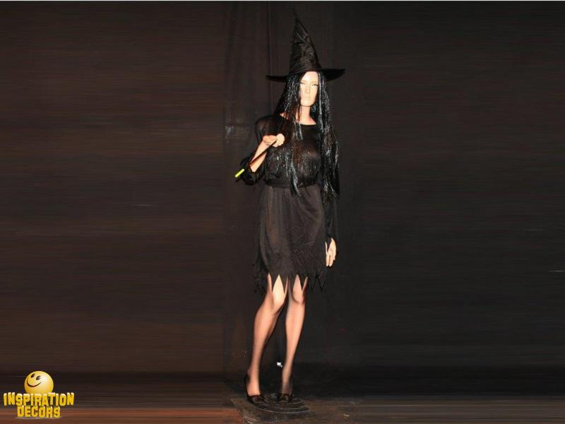 verhuur Halloween heks huren