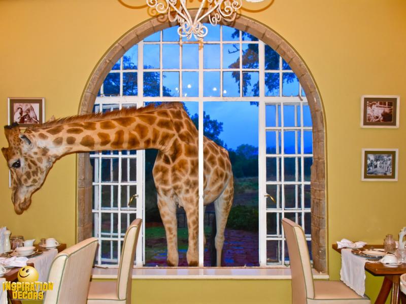 verhuur decor giraf lodge huren