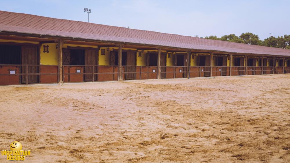 verhuur decors rekwisieten paardensport te huur