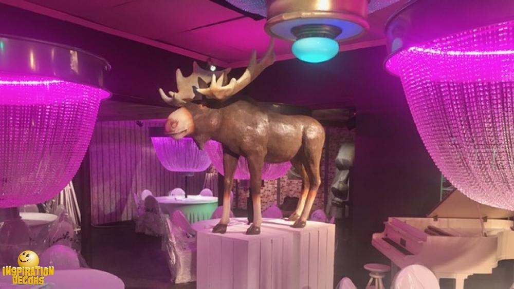 verhuur decor Moose Bar adres ski te huur