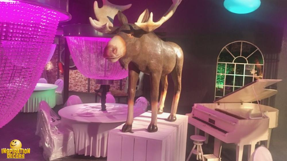 verhuur Moose Bar Moose op sokkels te huur