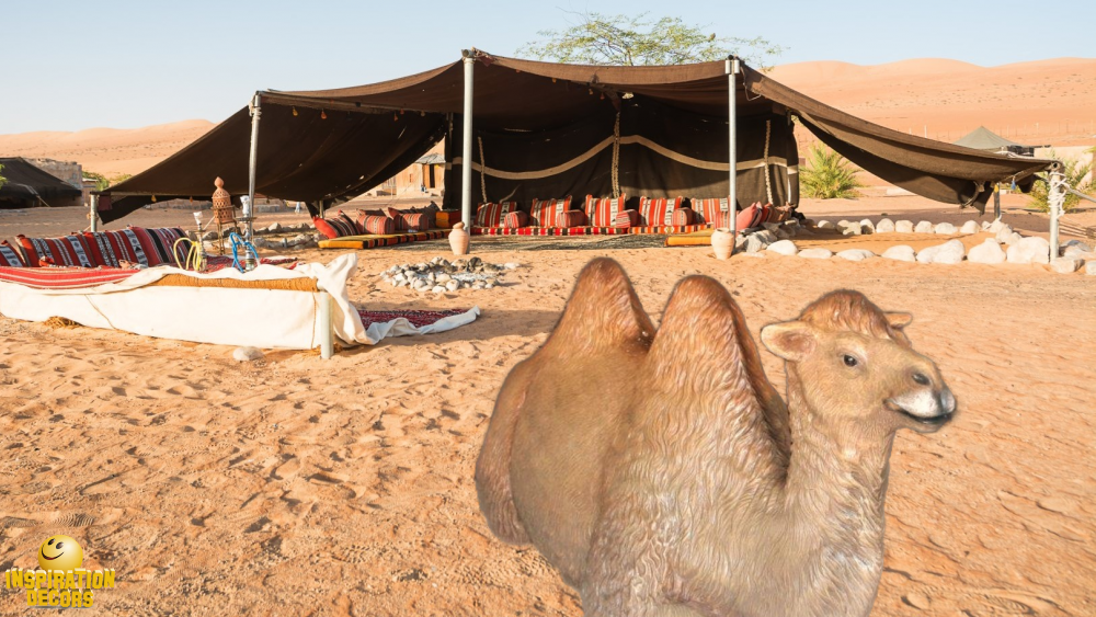 verhuur decor setting kameel voor bedouinen tent woestijn huren