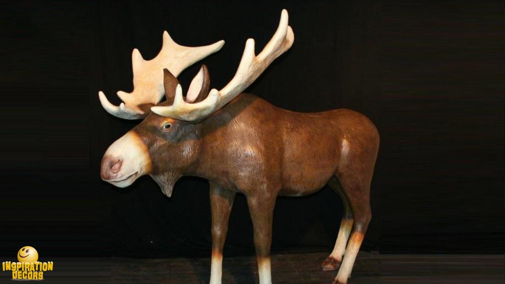 verhuur eland moose huren