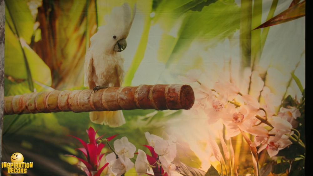verhuur achtergrond backdrop kakatoe jungle huren