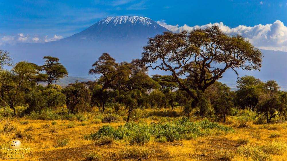 verhuur decor Kilimanjaro Afrika huren