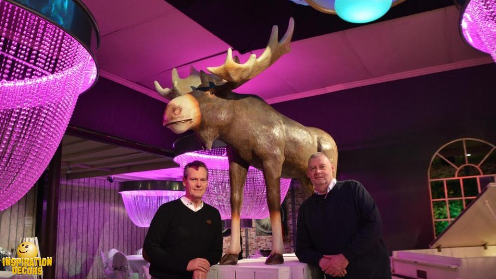 verhuur eland moose huren