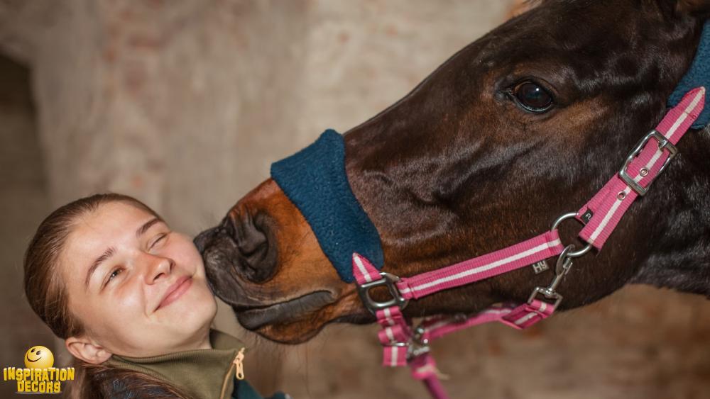 verhuur decor paardenkus huren