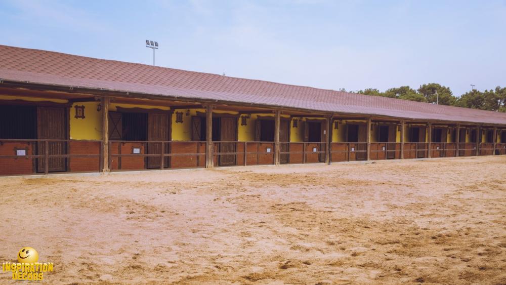 verhuur decor paardenstallen huren