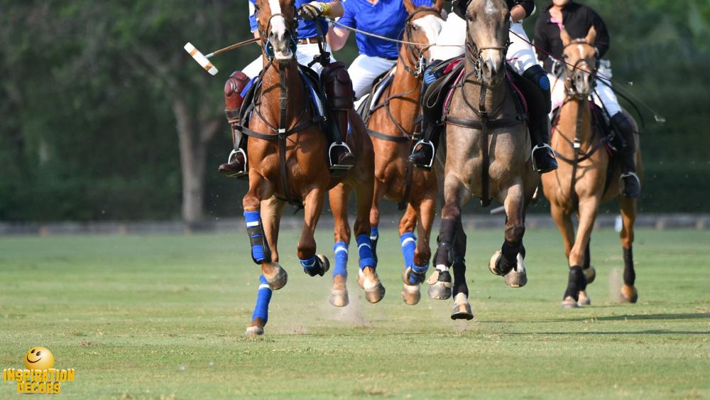 verhuur decor paardensport polo huren