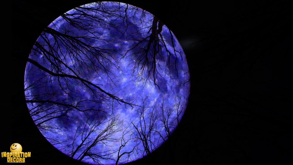 verhuur decor Halloween purperen maan te huur