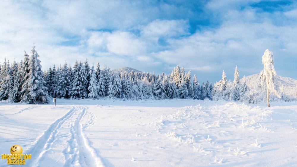 verhuur decor sneeuwsporen huren