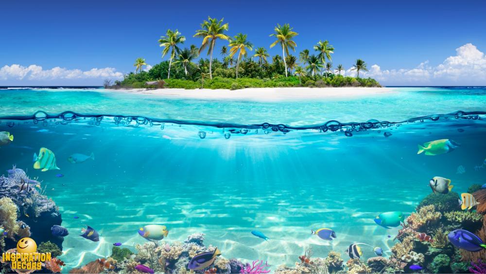 verhuur decor tropisch paradijs tropical paradise huren