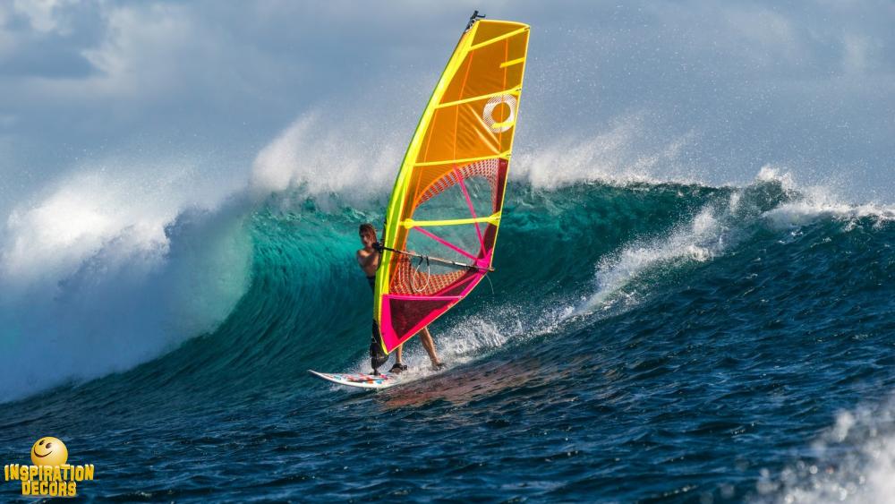 verhuur decor windsurfer huren