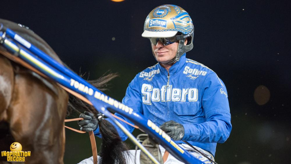 verhuur achtergrond draverij sulky huren