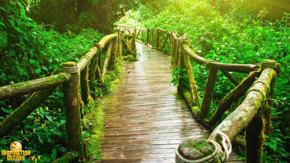 verhuur decor jungle brug huren
