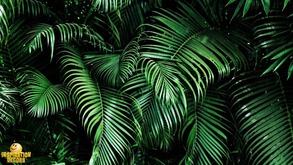 verhuur decor palmbladen palmbladeren huren