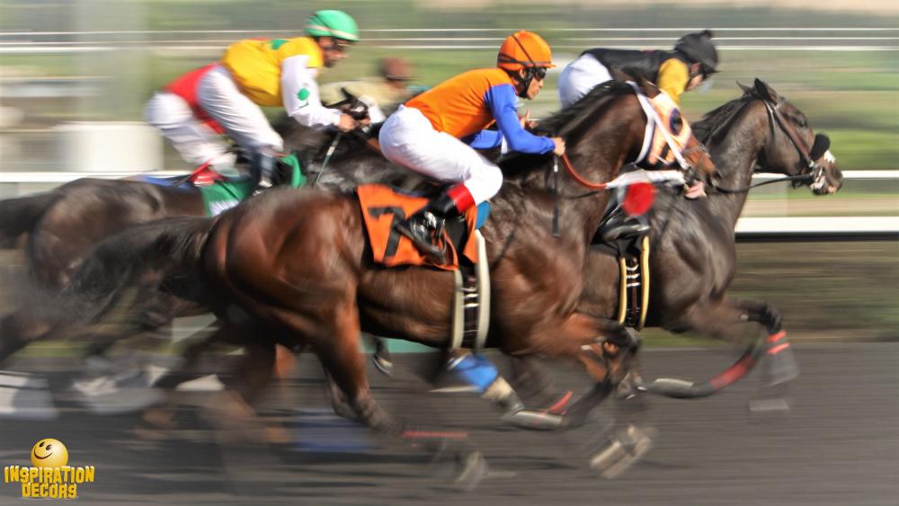 verhuur achtergrond jockeys huren