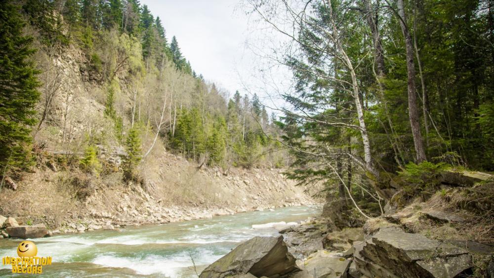 verhuur decor wilde rivier huren