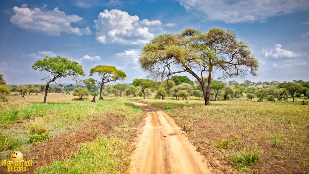 verhuur backdrop safari huren