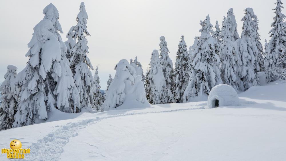 verhuur decor sneeuw weg iglo huren