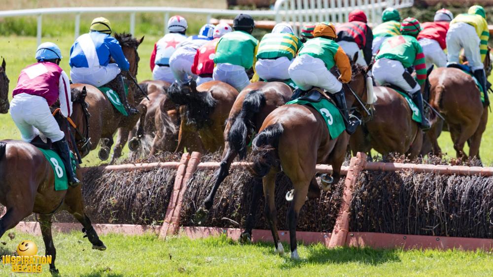 verhuur decor paardensport steeple chase huren