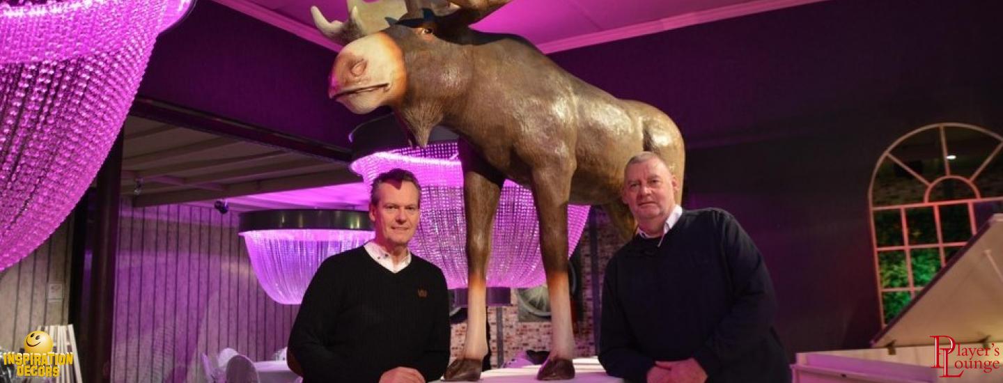 verhuur Moose voor de Moose bar te huur